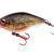 SPRO Hard Lures IKIRU Mini Crank 38F SL