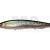 Megabass Kanata SW