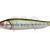 Megabass LATES FeedingWoofer