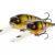 Westin MegaBite DR Crankbait Lures