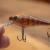 Salmo Rattlin’ Executor SDR