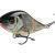 Salmo Slider 10 cm