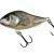 Salmo Slider 10 cm