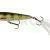 Westin Spot-On Popper