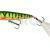 Westin Spot-On Popper