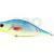 Dorado Tempter 18 Big Mama