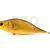 Dorado Tempter 18 Big Mama