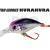 DUO Hard Lures Tetra Works Kurakura