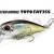 DUO Hard Lures Tetra Works TOTOFAT 35S