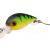 SPRO Hard Lures Trout Master Wobbla