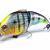 Megabass Vibration-X Vatalion