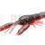 Savage Gear 3D Crayfish Kit